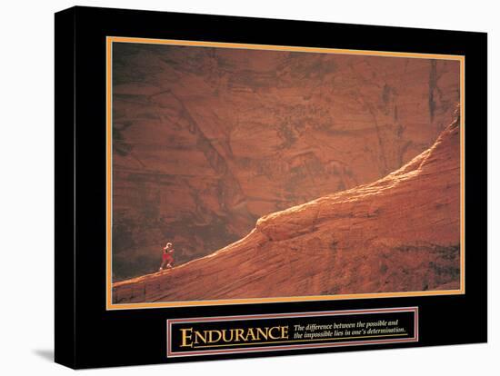 Endurance - Mountain Runner-unknown unknown-Stretched Canvas