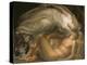 Endymion, c.1869-George Frederick Watts-Premier Image Canvas