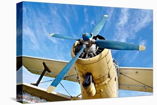 Engine of an Old Airplane from Low Angle-Gudella-Premier Image Canvas
