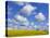 England, Hampshire, Rape Fields and Clouds-Steve Vidler-Premier Image Canvas