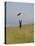 England, Isle of Wight; Boy Flying a Kite on the Downs Near Compton Bay in Southwest of the Island-Will Gray-Premier Image Canvas