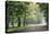 Englischer Garten in Munich-Stefano Amantini-Premier Image Canvas