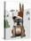 English Bulldog, Skiing-Fab Funky-Stretched Canvas