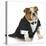 English Bulldog Wearing Black Tuxedo And Tails On White Background-Willee Cole-Premier Image Canvas