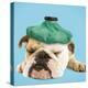 English Bulldog with Ice Pack-null-Premier Image Canvas