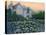 English Cottage lg-Bonnie B. Cook-Premier Image Canvas