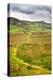 English Countryside-Mark Sunderland-Premier Image Canvas