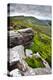 English Countryside-Mark Sunderland-Premier Image Canvas