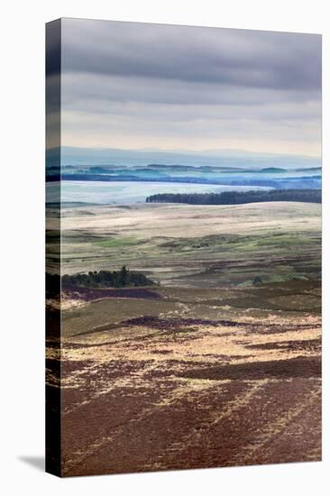 English Countryside-Mark Sunderland-Premier Image Canvas