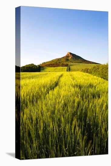 English Countryside-Mark Sunderland-Premier Image Canvas