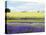 English Lavender Field 2-Toula Mavridou-Messer-Premier Image Canvas