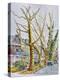 English Plane Trees,NYC, 2015-Anthony Butera-Premier Image Canvas