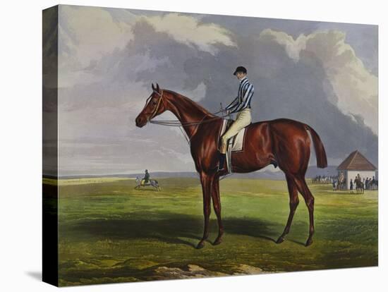 English Racehorses-J. Ferneley-Premier Image Canvas