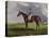 English Racehorses-J. Ferneley-Premier Image Canvas