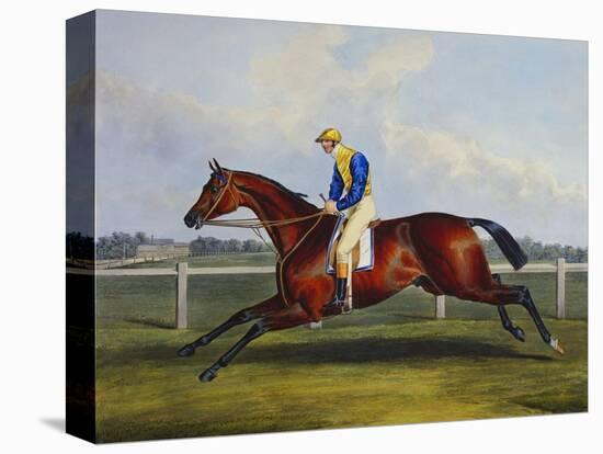 English Racehorses-C. Duncan-Premier Image Canvas