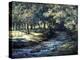 English River-Richard Willis-Premier Image Canvas