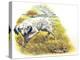 English Setter (Canis Lupus Familiaris) Pointing to Quail-null-Premier Image Canvas