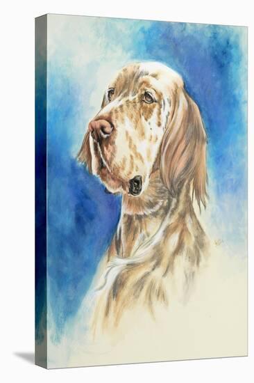 English Setter-Barbara Keith-Premier Image Canvas