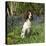 English Springer Spaniel Dog in Bluebells-null-Premier Image Canvas