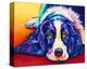 English Springer Spaniel-Steven Schuman-Stretched Canvas