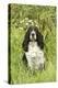 English Springer Spaniel-null-Premier Image Canvas