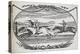 Engraving Of a Horse Race-Thomas Bewick-Premier Image Canvas