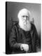 Engraving of British Naturalist Charles Darwin Developed Theory of Evolution by Natural Selection-null-Premier Image Canvas