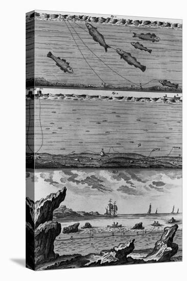 Engraving of Cod Fishing-null-Premier Image Canvas