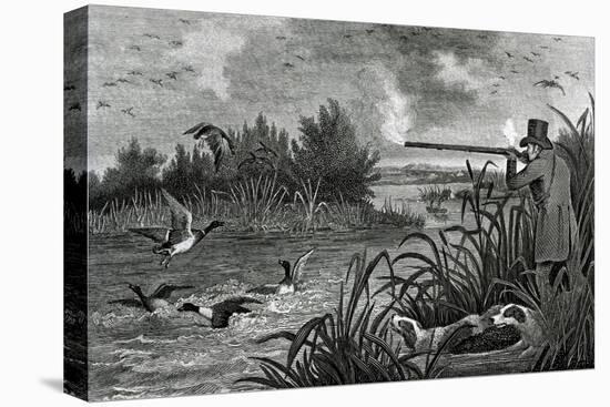 Engraving Of Duck Shooting-Bettmann-Premier Image Canvas