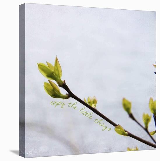 Enjoy the Little Things-Kimberly Glover-Premier Image Canvas