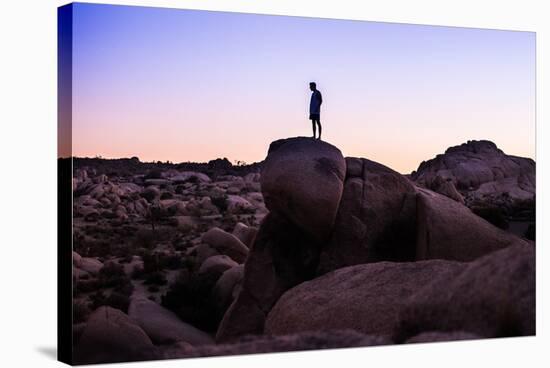 Enjoying The Last Light In The Desert Of Joshua Tree National Park-Daniel Kuras-Stretched Canvas