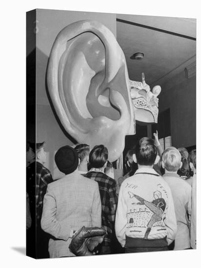 Enormous Ear on Display at Dallas Health Museum Demonstrates to Students How Sense of Balance Works-Michael Rougier-Premier Image Canvas