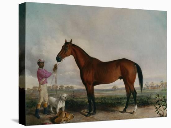 Enquirer, Bay Horse, 1932-Edward Troye-Premier Image Canvas