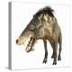 Entelodon, White Background-Stocktrek Images-Stretched Canvas