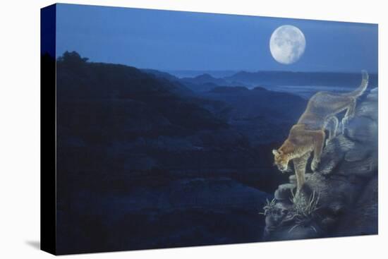 Enter the Badlands-Gordon Semmens-Premier Image Canvas