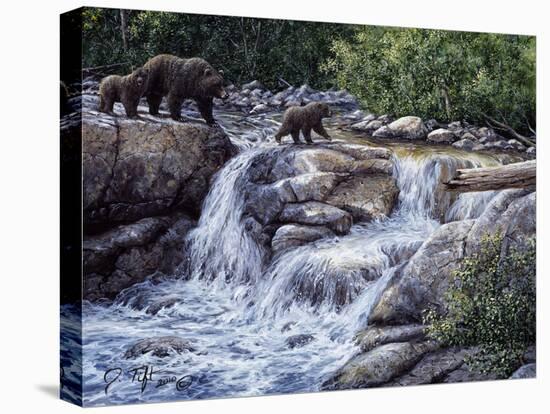 Entiat Falls-Grizzly Family-Jeff Tift-Premier Image Canvas