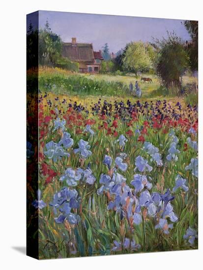 Entrance to Burgate Green-Timothy Easton-Premier Image Canvas