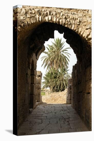 Entrance to the Theater, Roman ruins of Bulla Regia, Tunisia-Nico Tondini-Premier Image Canvas