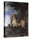 Equestrian Portrait of Charles I-Sir Anthony Van Dyck-Premier Image Canvas