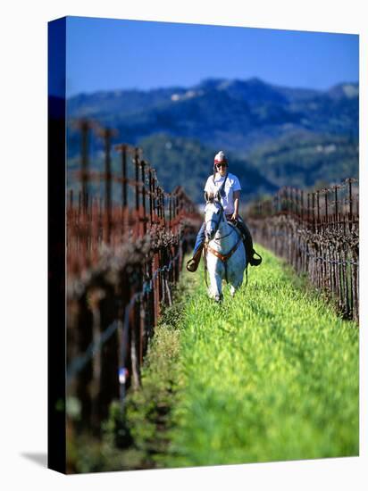 Equestrian Riding in a Vineyard, Napa Valley Wine Country, California, USA-John Alves-Premier Image Canvas
