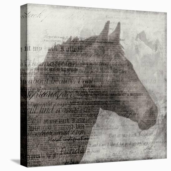 Equestrian Story 1-Ken Roko-Stretched Canvas