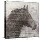 Equestrian Story 1-Ken Roko-Stretched Canvas