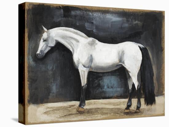 Equestrian Studies VI-Naomi McCavitt-Stretched Canvas