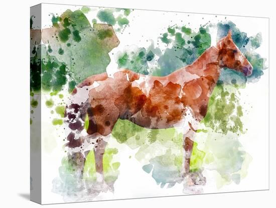 Equine Confirmation-Chamira Young-Stretched Canvas