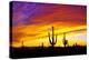 Equinox Sunset-Douglas Taylor-Premier Image Canvas