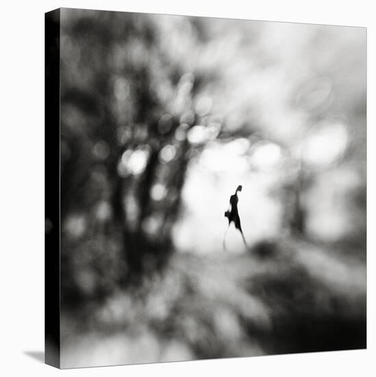 Equinox-Hengki Lee-Premier Image Canvas