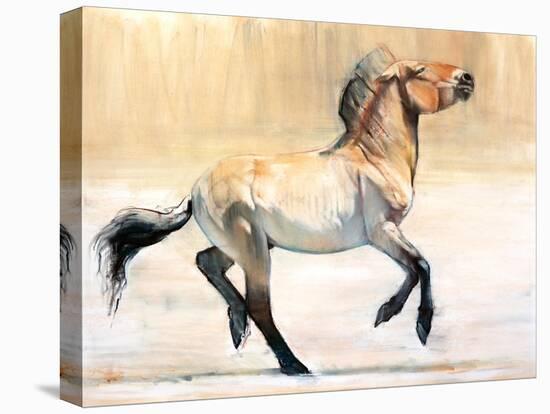 Equus (Przewalski), 2014-Mark Adlington-Premier Image Canvas