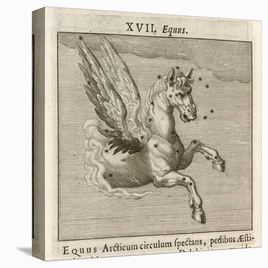 Equus the Horse-Gaius Julius Hyginus-Stretched Canvas