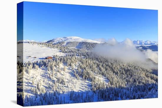 Erbe Pass and the forest on the side of the Gardena Valley after a snowfall, Funes Valley, Sudtirol-Francesco Bergamaschi-Premier Image Canvas