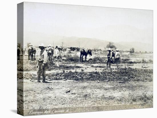 Eritrea, View of Ailet after Fire-null-Premier Image Canvas